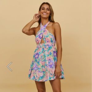 Fortunate One Blooming In Spring Dress NWT